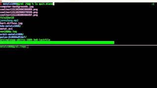 BASH vs ZSH   Linux Shell Tutorial