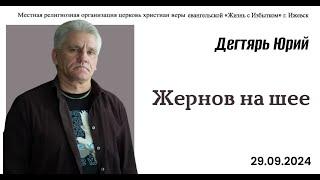 Жернов на шее. Ю.Дегтярь.29.09.24.