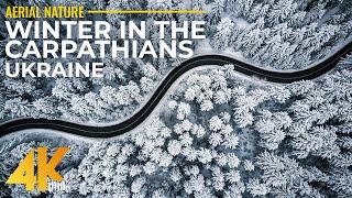 Snowy Winter in the Carpathian Mountains, Ukraine - 4K UHD Drone Footage + Calming Music