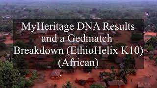 MYHeritage  DNA Results and Gedmatch Breakdown | EthioHelix K10 | African