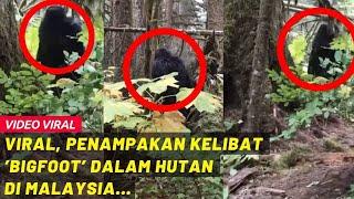 VIRAL, PENAMPAKAN KELIBAT 'BIGFOOT' DALAM HUTAN DI MALAYSIA...