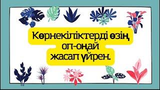 Көрнекіліктерді оп-оңай жасап үйреніңіз