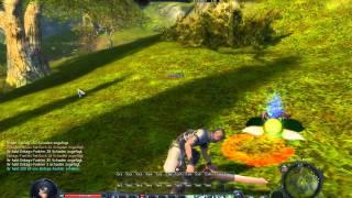 Angespielt!: Aion Free-to-Play [1/2] - Gehts noch besser? NEIN!