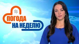 Первый снег и усиление ветра! | Погода в Беларуси с 3 по 9 ноября | Плюс-минус