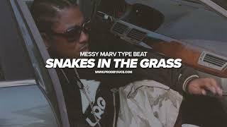 [FREE] Messy Marv x The Mekanix Type Beat 2024 - "Snakes In The Grass" (Prod. by Juce)