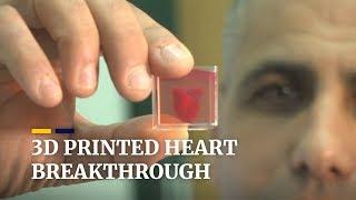 Israeli scientists print 3D heart with human tissue and vessels