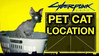 Cyberpunk 2077 - Your Own PET CAT Location