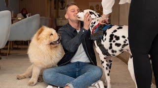 VISITING THE BEST DOG CAFE IN LONDON | Carl Cunard