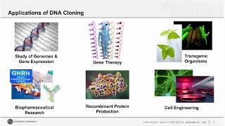 Accelerate your Research with Synthetic DNA and Hands-free Cloning