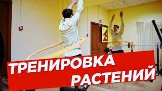 №53 Тренировка растений | Кольцевание