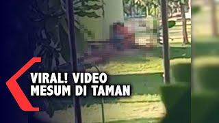 Viral Video Mesum di Taman Maramis Kota Probolinggo