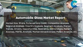 Automobile Glass Market Report 2024