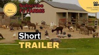 FJ FARMS short trailer #animal #goat #vegetables #chicken #life