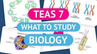 TEAS 7 Science BIOLOGY Review | TEAS Test Prep for the Science Section of the ATI TEAS 7