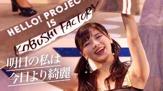 こぶしファクトリー「明日の私は今日より綺麗」Hello! Project 2020 Winter