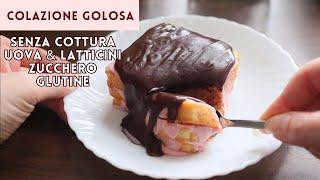 Colazione FACILE, VELOCE SENZA COTTURA SENZA GLUTINE ZUCCHERO LATTICINI E UOVA  cioccolato e yogurt