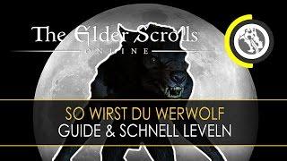 Elder Scrolls Online - So wirst du Werwolf! | Guide & schnelles leveln | deutsch | HD