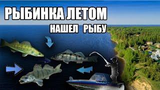 КАК НАЙТИ БЕРША и ОКУНЯ на рыбинском водохранилище. Рыбалка на спиннинг | Свой Рыболов