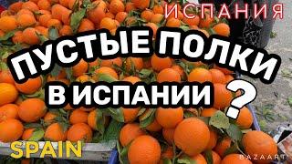 Испания Рост цен на продукты и голод? Проверяем так-ли это (2022)