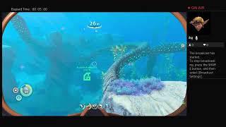 Subnautica Below Zero Inactive Volcano