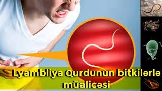 Lyambliya Qurdunun bitkilərlə müalicəsi