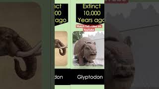 Rare and extinct animals of Amazon