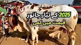 Aaj Janwaro Ki Qeemat Mai Hui Kami | Malir Mandi New Rates Update | 125k Mai Qurbani 2025 Ky Janwar