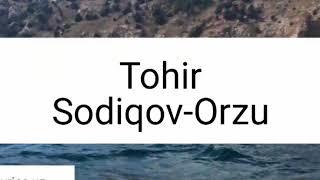 Tohir Sodiqov-Orzu