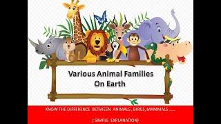 VARIOUS ANIMAL FAMILIES ON EARTH || భూమిపై వివిధ జంతు కుటుంబాలు