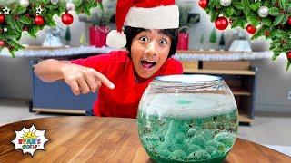 Top 3 Holiday Christmas Science Experiments for kids with Ryan's World