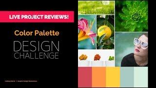 Live Review of Projects! ️ The Color Palette and Mood Board Design Challenge!