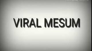 #VIRAL VIDEO MESUM DENGAN HEWAN