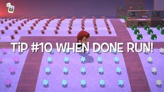 10 tips for using treasure islands Animal Crossing