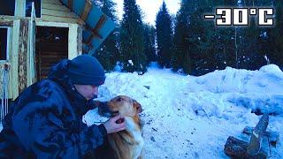 Life in a Siberian Forest with a Dog at minus 30 degrees below zero - Completed a Stump Sink