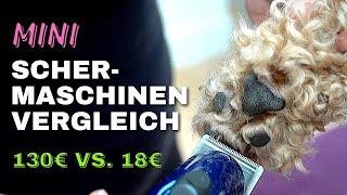 Mini-Schermaschinen-Vergleich - Pfoten Scheren Pudel: Heiniger Style Mini vs. WAHL Pico - Fazit