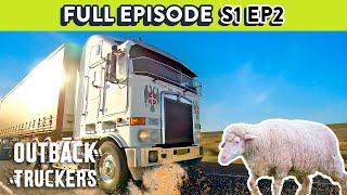 Trucker Speechless When Sheep Runs in Front of Semi Truck | Outback Truckers - S1 Ep2 FULL EPISODE