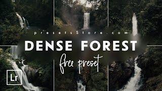 Dense Forest — Inspired by @NEVERENDINGHORIZON | Free Lightroom Preset Download | Tutorial | DNG