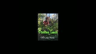  Positive Seeds  #offgrid #music #typebeat @plutobeats. 