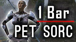 1 Bar Pet Sorc Build for vMA + Full Walkthrough + Guide