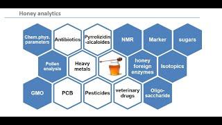 Apimondia 2019 – Bee Economy-Technology – 09.09.2019 – HONEY ADULTERATION ROUNDTABLE