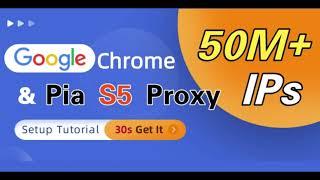 Google Chrome Proxy Setting Pia S5 Tutorial Guide! 3s to get IP port fast connection #ips #google