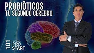 Probióticos - Tu segundo cerebro y tu salud mental