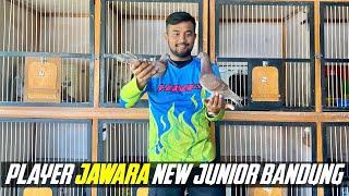 MERPATI BALAP NEW JUNIOR TEAM BANDUNG