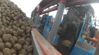 Aardappelspoten met New Holland T6010 en Gruse - Trekkerweb.nl