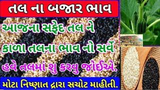 તલના ભાવ નો સર્વે  | તલના ભાવ:2023 | Information about cotton crop price | Commodity Trend