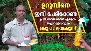 ഉറുമ്പിനെ പ്രതിരോധിക്കാൻ ഒരു ജൈവമരുന്ന് | Urumb Shalyam Akattan ? | An Organic Drug To Combat Ants