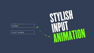 Stylish Input Animation Using CSS