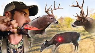 Bowhunting Cold Front Magic!! - 7 Deer Down