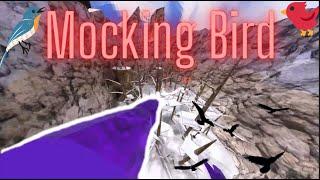 Mocking Bird (High FOV) | Gorilla Tag Montage