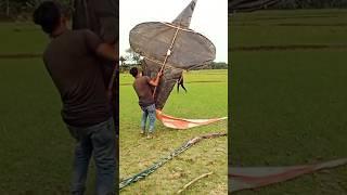 Big Corba Kite #shortvideo #kite #bigkite